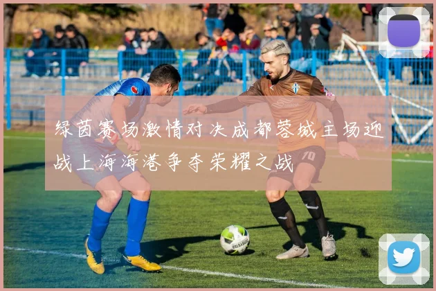 绿茵赛场激情对决成都蓉城主场迎战上海海港争夺荣耀之战